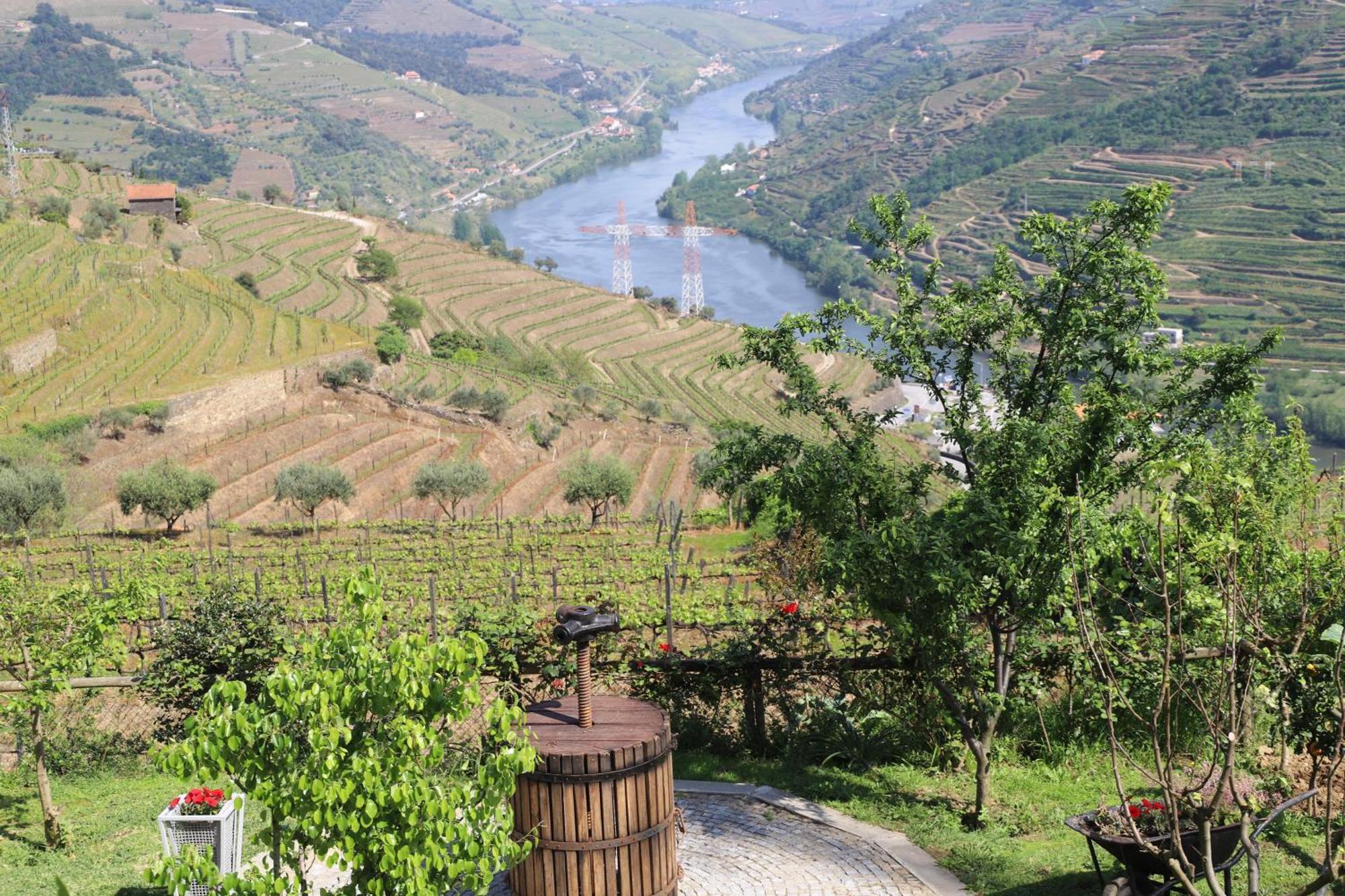 Casa Vale Do Douro Bed & Breakfast Mesao Frio Exterior photo